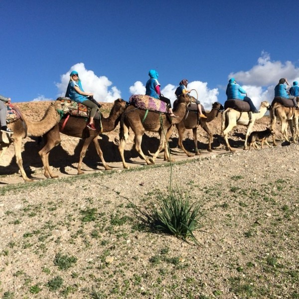 Agafay Wüstenerlebnis mit Kamelreiten